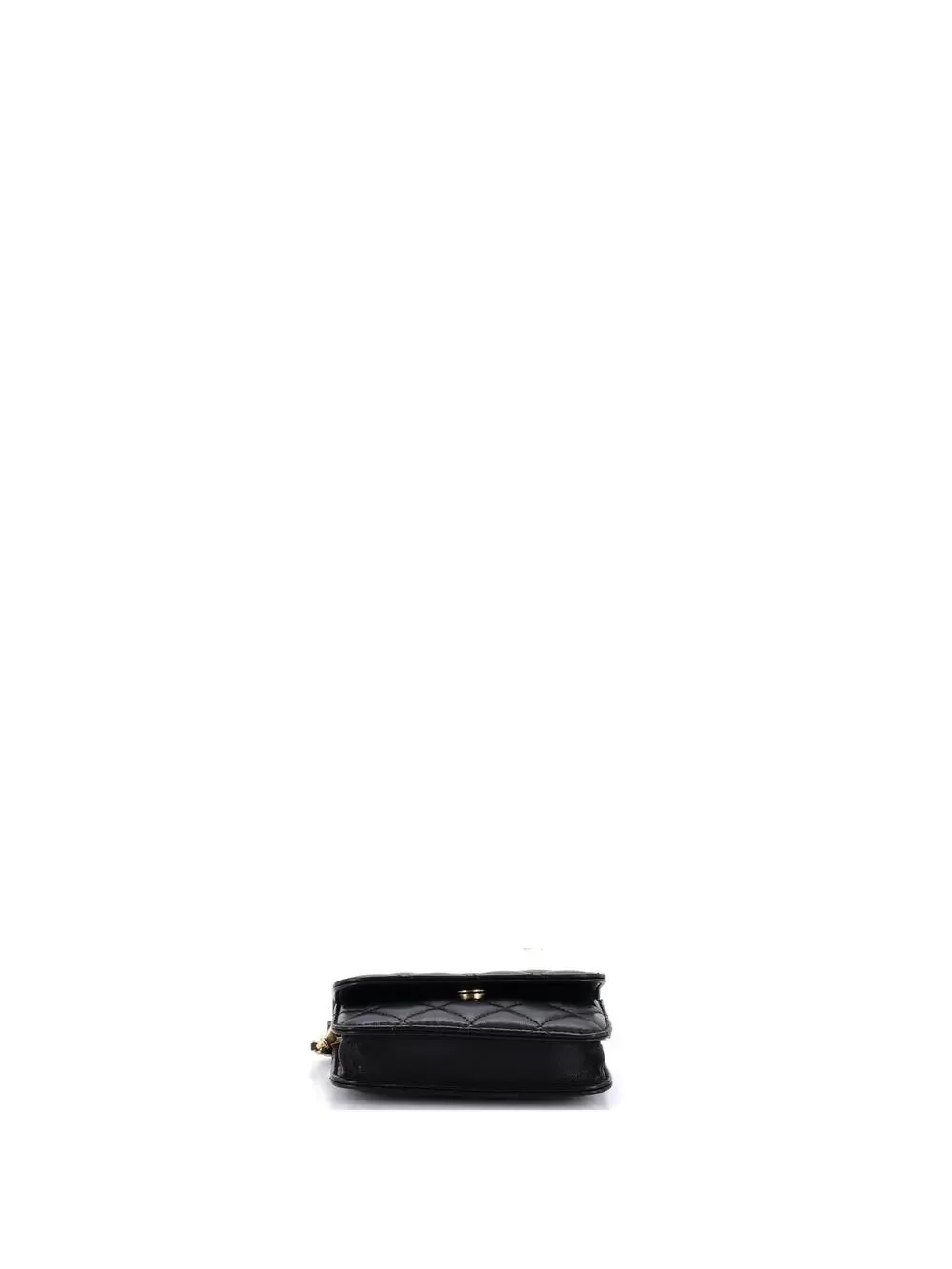 CHANEL iconic this that